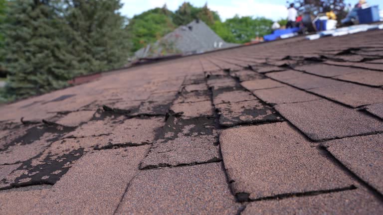 Steel Roofing in University Heights, OH