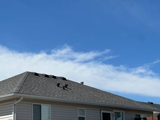 4 Ply Roofing in University Heights, OH