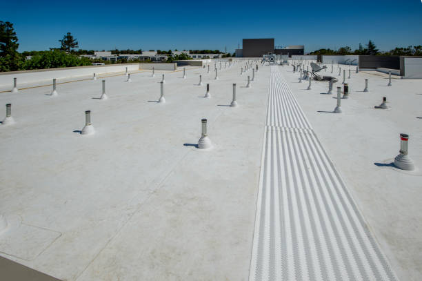 Best Roof Leak Repair  in University Heights, OH